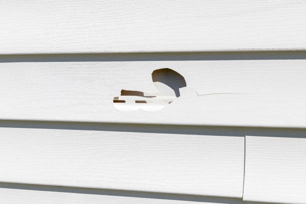 Best Steel Siding Installation  in Odenville, AL